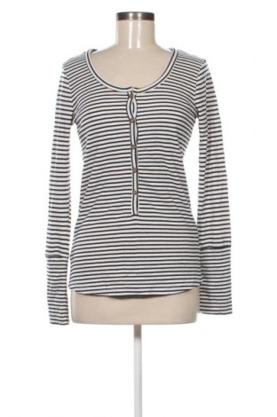 Damen Shirt Cotton On, Größe S, Farbe Mehrfarbig, Preis € 13,99