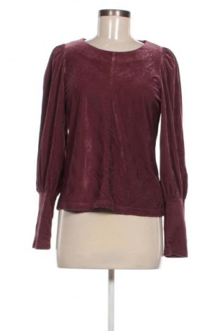 Damen Shirt Fransa, Größe S, Farbe Aschrosa, Preis 25,99 €