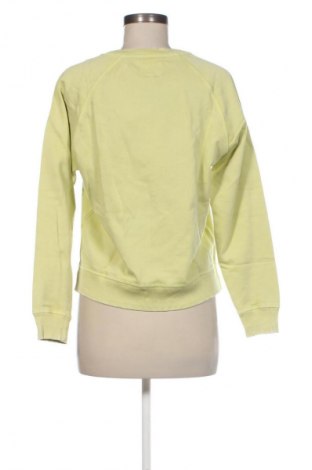 Damen Shirt Pepe Jeans, Größe M, Farbe Grün, Preis € 109,99
