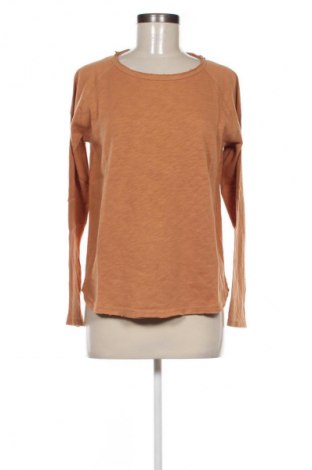 Damen Shirt Rich & Royal, Größe M, Farbe Braun, Preis 59,99 €