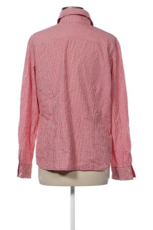 Dámska košeľa  Clarina Collection, Veľkosť XL, Farba Viacfarebná, Cena  14,95 €