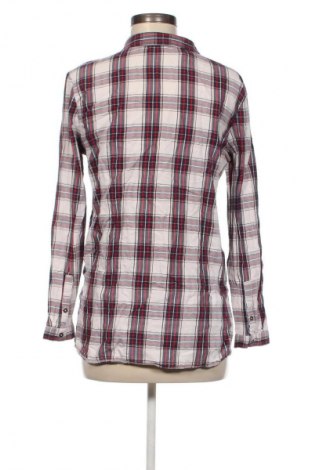 Damenbluse Clockhouse, Größe M, Farbe Mehrfarbig, Preis € 8,99