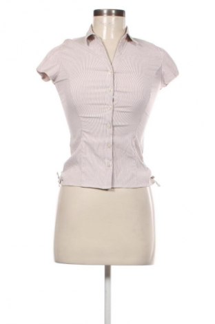 Damenbluse Dorothy Perkins, Größe M, Farbe Mehrfarbig, Preis 14,99 €