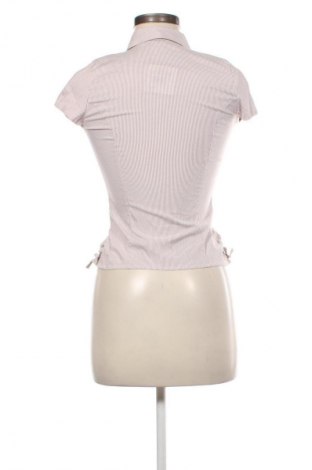 Damenbluse Dorothy Perkins, Größe M, Farbe Mehrfarbig, Preis 14,99 €