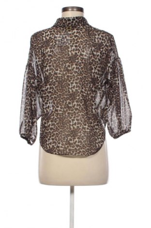 Damenbluse Lynne, Größe M, Farbe Mehrfarbig, Preis € 13,99
