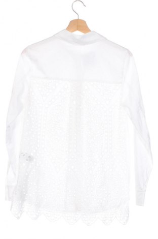 Damska koszula Marks & Spencer Limited Collection, Rozmiar XS, Kolor Biały, Cena 244,99 zł