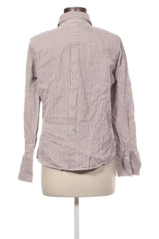 Damenbluse Milano, Größe XL, Farbe Mehrfarbig, Preis € 17,99
