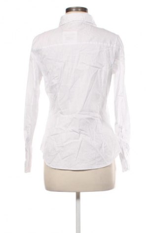 Damenbluse Zara, Größe XL, Farbe Weiß, Preis € 18,99