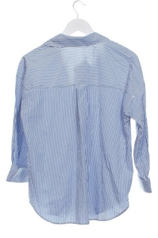 Damenbluse Zara, Größe XS, Farbe Mehrfarbig, Preis € 31,68