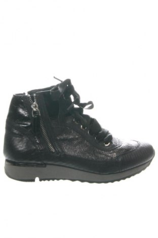 Damen Stiefeletten Bruno Premi, Größe 37, Farbe Schwarz, Preis 57,99 €
