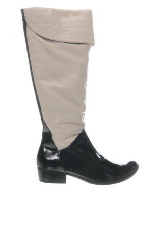 Damenstiefel Puccini, Größe 38, Farbe Mehrfarbig, Preis 79,88 €