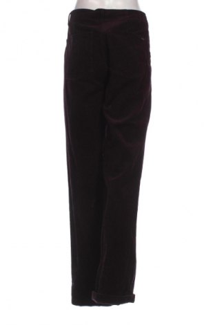 Damskie sztruksy Massimo Dutti, Rozmiar M, Kolor Brązowy, Cena 131,99 zł
