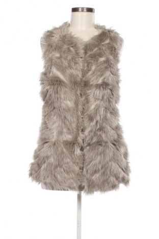 Damenweste River Island, Größe XS, Farbe Beige, Preis 17,99 €