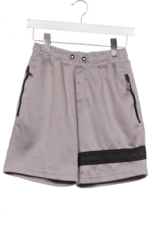 Damen Shorts Bershka, Größe XS, Farbe Grau, Preis € 6,99