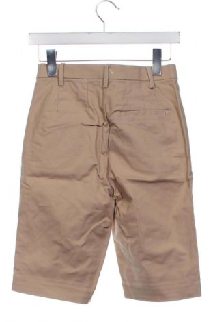 Damen Shorts Marks & Spencer, Größe XS, Farbe Braun, Preis 15,00 €