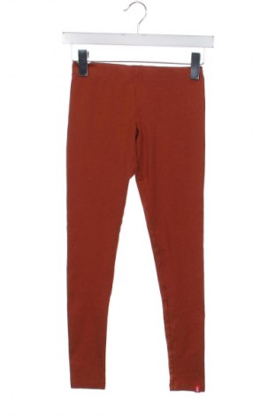 Dámske legíny  Edc By Esprit, Veľkosť XXS, Farba Červená, Cena  9,95 €