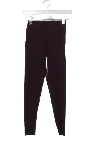 Damen Leggings Oysho, Größe XS, Farbe Lila, Preis € 13,80
