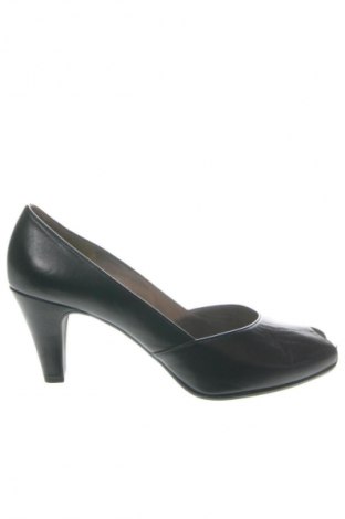 Damenschuhe Gabor, Größe 43, Farbe Schwarz, Preis 64,07 €