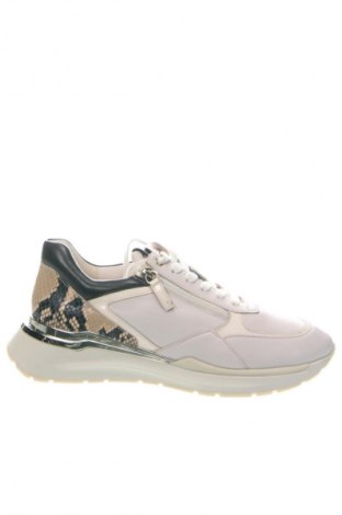 Damenschuhe Hogl, Größe 39, Farbe Mehrfarbig, Preis 149,99 €