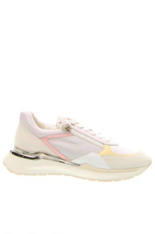 Damenschuhe Hogl, Größe 39, Farbe Mehrfarbig, Preis 149,99 €