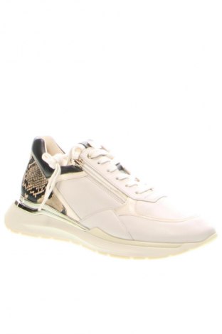 Încălțăminte de damă Hogl, Mărime 41, Culoare Multicolor, Preț 739,99 Lei