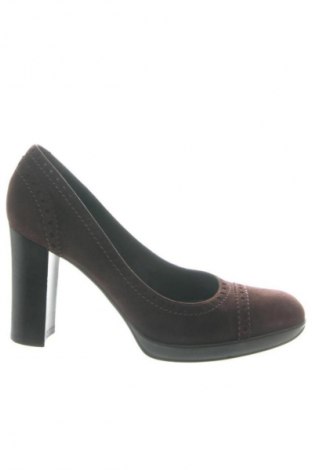 Damenschuhe Sergio Rossi, Größe 36, Farbe Braun, Preis 233,76 €