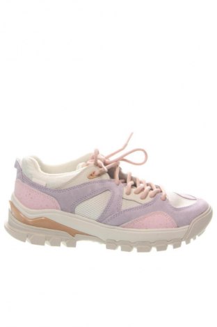 Damenschuhe Vans, Größe 42, Farbe Mehrfarbig, Preis 59,99 €