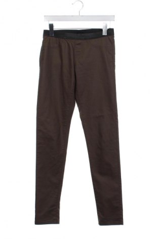 Damenhose Esmara, Größe S, Farbe Grün, Preis € 14,77