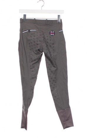 Damskie spodnie Spooks, Rozmiar XS, Kolor Szary, Cena 203,99 zł