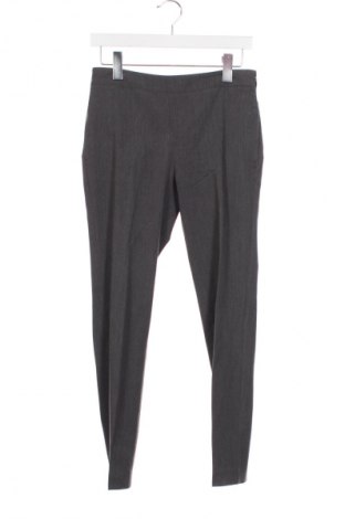 Damenhose Stefanel, Größe XS, Farbe Grau, Preis € 55,85