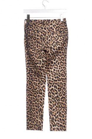 Damenhose Zara, Größe XS, Farbe Mehrfarbig, Preis € 9,99
