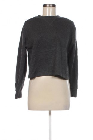 Damenpullover Anko, Größe XL, Farbe Grau, Preis € 20,99