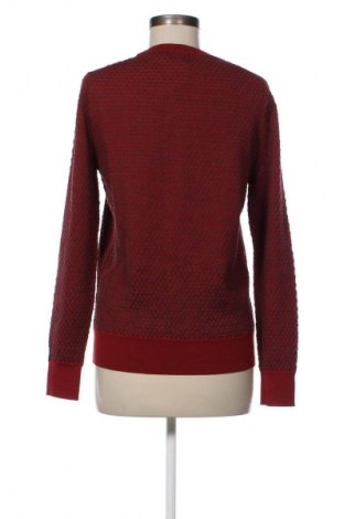 Damenpullover Falconeri, Größe L, Farbe Mehrfarbig, Preis € 115,39