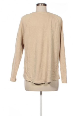Damski sweter SHEIN, Rozmiar XL, Kolor Beżowy, Cena 95,99 zł