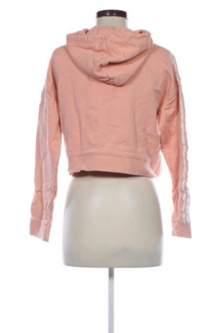 Damen Sweatshirt Adidas, Größe XS, Farbe Orange, Preis 33,99 €