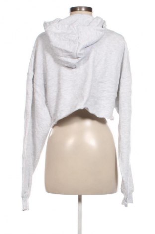 Дамски суитшърт Authentic Style, Размер L, Цвят Сив, Цена 29,99 лв.