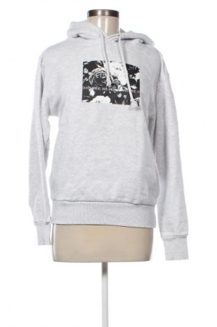 Dámska mikina  Retro Jeans, Veľkosť XS, Farba Sivá, Cena  20,97 €