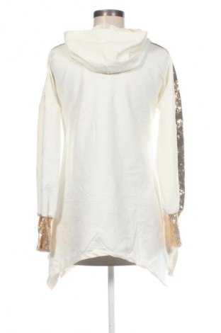 Dámska mikina  Unbranded, Veľkosť L, Farba Viacfarebná, Cena  11,95 €