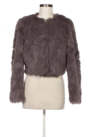 Damenmantel Glassons, Größe XS, Farbe Grau, Preis 49,99 €