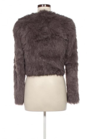 Damenmantel Glassons, Größe XS, Farbe Grau, Preis 49,99 €