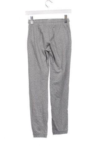 Damskie spodnie sportowe Terranova, Rozmiar XXS, Kolor Szary, Cena 43,99 zł