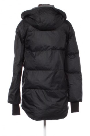 Damenjacke Converse, Größe XS, Farbe Schwarz, Preis € 29,99