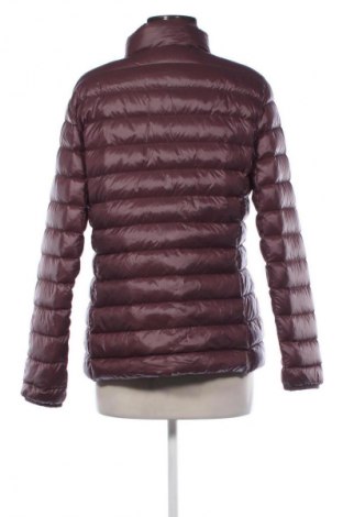 Dámska bunda  Nice & Chic, Veľkosť XL, Farba Fialová, Cena  25,00 €