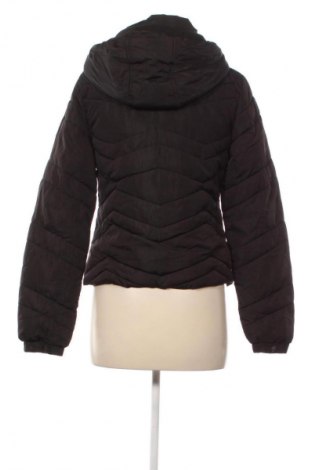 Dámska bunda  Primark, Veľkosť XS, Farba Čierna, Cena  28,95 €