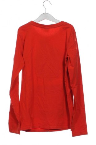 Παιδική μπλούζα Unbranded, Μέγεθος 12-13y/ 158-164 εκ., Χρώμα Πολύχρωμο, Τιμή 6,00 €