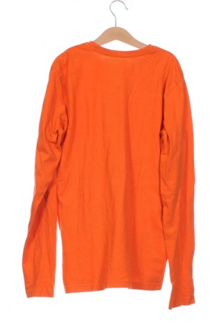 Detská blúzka  Unbranded, Veľkosť 12-13y/ 158-164 cm, Farba Viacfarebná, Cena  6,06 €