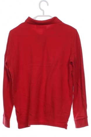 Dziecięca bluzka Zara Kids, Rozmiar 11-12y/ 152-158 cm, Kolor Czerwony, Cena 21,99 zł
