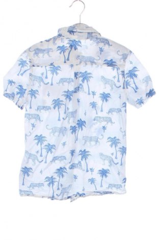 Παιδικό πουκάμισο H&M, Μέγεθος 8-9y/ 134-140 εκ., Χρώμα Πολύχρωμο, Τιμή 5,56 €