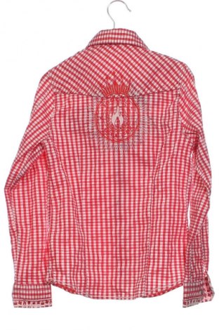 Kinderhemd Unbranded, Größe 5-6y/ 116-122 cm, Farbe Mehrfarbig, Preis 6,99 €