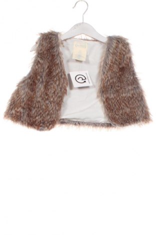Παιδικό γιλέκο Unbranded, Μέγεθος 4-5y/ 110-116 εκ., Χρώμα Πολύχρωμο, Τιμή 11,00 €